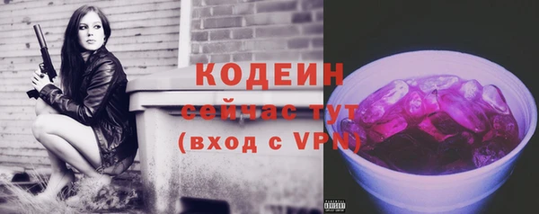 spice Гусев