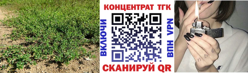 OMG ССЫЛКА  Коломна  ТГК концентрат 